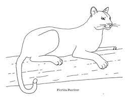 By eating a particular herb, black panther's senses are sharpened, his speed and speed increased, and he can see in the dark. Florida Panther Coloring Page By Mama Draw It Teachers Pay Teachers