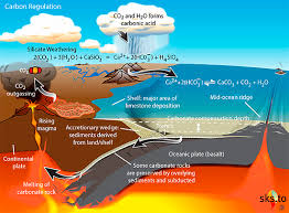 long term carbon cycle: weathering of
