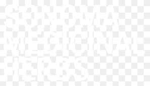 Check spelling or type a new query. Brooklyn Nine Nine Png Images Pngwing