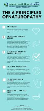 The 6 Principles Of Naturopathy Naturopathy Naturopathy Treatment Naturopathy Medicine