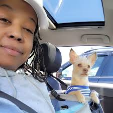 Come say goodbye to Buttercup 😢 The Yard Goats are home this week, but the  FINAL SERIES of the regular season begins next Tues vs. the Yankees  affiliate Somerset Patriots Baseball. Tues