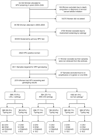 Cervical cancer is a cancer arising from the cervix. Type And Age Specific Distribution Of Human Papillomavirus In Women Attending Cervical Cancer Screening In Finland British Journal Of Cancer