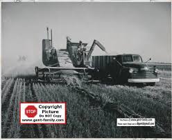 Grain Harvesting- Page 1 -