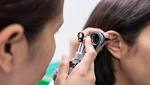  Scientists find new drugs that could help prevent hearing loss caused by congenial defects