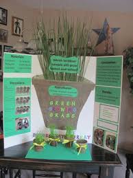 Biology Science Fair Projects For 7th Grade Life And Times Of The 4 B S Brailey S Fifth Grade Science Fair Project Green Gr Kids Science Fair Projects Science Fair Projects Plant Science Fair Projects