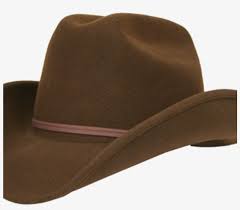 Cowboy Hat Transparent Background Cowboy Hat Png Transparent Cowboy Hat Transparent Png 1024x1024 Free Download On Nicepng Cvs pharmacy child infant mouth disease, thought bubble, white text bubble transparent background png clipart. cowboy hat transparent background