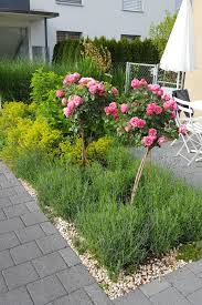 Vorgarten Vorgarten Kleiner Garten Vorgarten Eingang