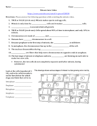 Check spelling or type a new query. Mitosis Intro Video And Coloring Activities