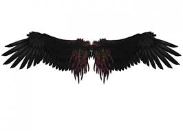 A new collection of angel wings backgrounds in 4k resolution for smartphones including s8, samsung note 8, iphone x, and other phones. Black Angel Wings Photo Backdrop Studio Photography Background
