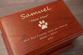 We did not find results for: Cat Cremation Kings Hill Cremations Warwickshire