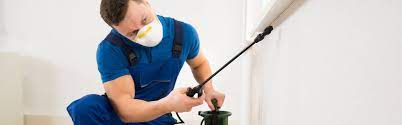 Considering that many pest control companies charge you close to $100 per quarter, that's a huge savings! Pest Control Not Working Updated In 2021