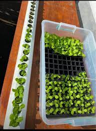 Online Quote Request Nft Hydro Hydroponics Hydroponic Farming Commercial Farming