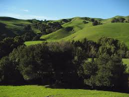 The population was 35,824 at the 2010 census. Vic S Martinez About Martinez California Menu Prices Restaurant Reviews Facebook