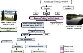 Conflicts in water management needs to be resolved via. Occurrence Of Pesticides In Surface Water Pesticides Removal Efficiency In Drinking Water Treatment Plant And Potential Health Risk To Consumers In Tengi River Basin Malaysia Sciencedirect