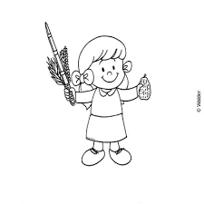 Spoon the batter into cupcake wrappers. Holding Lulav And Esrog Walder Education