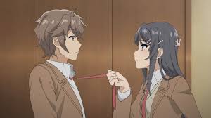 Pin On Arty These are recommendation lists which contains seishun buta yarou series. pinterest