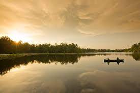 Get directions, reviews and information for magnolia springs state park in millen, ga. Magnolia Springs State Park Events Facebook