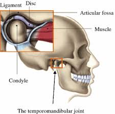 Treatment is focused on behavioral modification as opposed to joint repair. Temporomandibular Joint Disorders Treatments And Biomechanics Springerlink