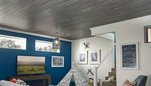 Fun For The Whole Family Ceiling Tiles Diy Ceiling Design Styrofoam Ceiling Tiles