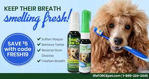 Handle and open container in a manner as to prevent spillage. Oral Tumors In Dogs And Cats Animal Wellness Magazine