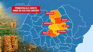 Pe okazii.ro cumperi online produse cu reducere si livrare gratuita din stoc. Stiri Prajiti Pagina 1 Din 6 Stirileprotv Ro