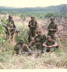 Rli Troopers Modell
