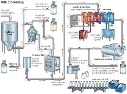 Milk Processing Flow Chart Marcus Technology