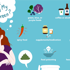 Eating a lot but not pooping. What Does It Mean If Your Poop Is Green