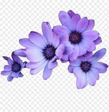 Check spelling or type a new query. Flowers Purple Tumblr Overlays Editingneeds Foredit Transparent Purple Flowers Png Image With Transparent Background Toppng