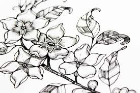 A beautiful bestiary just waiting to be printed and colored. 8 Colouring Challenges To Stretch Your Creativity Johanna Basford Johanna Basford