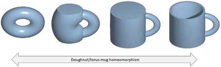 Why a Coffee Cup Is the Same as a Donut (Mathematically) | by Andrew Muratov | Medium