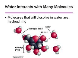Here, n = 100g/ 18g = 5.55. Review Water Structure A Water Molecule Consists Of
