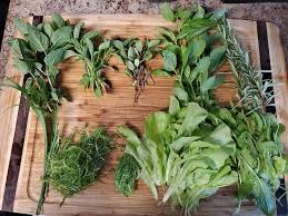 Mint, curry leaves, ginger, cilantro, basil, rosemary and chillies