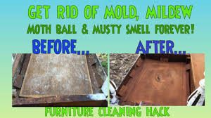 Remove Mold Mildew From Furniture Diy Hack Stop The Stink Mold Mildew Musty Moth Balls Hack Youtube