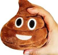 Funny Plush Poop Toy with Fart Sounds - Hilarious as Gifts for Teen Boys or  Office Prank - Great As Poop Dog Toy with Long Lasting Build - Use as Fart  ...