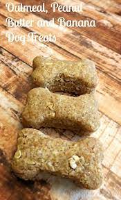 We Were Wantin Some Homemade Dog Treats Awfully Bad She Made Us This Oatmea Dog Biscuit Recipes Peanut Butter Banana Dog Treat Recipe Banana Dog Treat Recipe