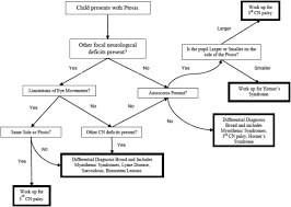 Eye On Children Acute Work Up For Pediatric Horner S Syndrome Case Presentation And Review Of The Literature Sciencedirect