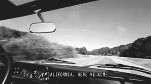 Added to your profile favorites. Going Back Out To Cali Gif On Imgur