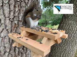 Best Squirrel Picnic Table With Feeder Pail Etsy In 2020 Picnic Table Kit Diy Bird Feeder Squirrel