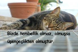 Tembellikle Ilgili Komik Sozler Super Guzel Sozler Tembellik Komik Guzel Soz