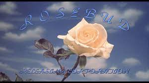 Rosebud Releasing Corporation From Evil Dead Ii 1987 Star Wars Episode Ii Star Wars Episodes Rose Buds