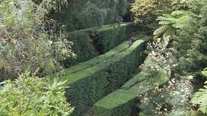 The Caretaker Fact Sheets Gardening Australia Gardening Australia Garden Tours Sydney Gardens Caretaker