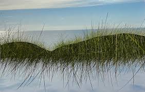 Nancy Jenner — Jamaica Plain Artist Association