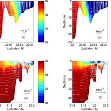 Spatial Structure Of Tidal Oscillatory Salt Flux At Woodland