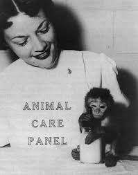 Alma Mater Studiorum