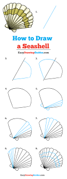 Check spelling or type a new query. How To Draw A Seashell Really Easy Drawing Tutorial