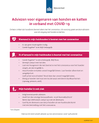 Het kabinet neemt opnieuw extra maatregelen voor bedrijven die door de coronamaatregelen zwaar worden getroffen. Vragen Over Huisdieren En Het Coronavirus Coronavirus Covid 19 Rijksoverheid Nl