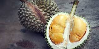 Untuk perlahankan kereta, anda hanya gunakan pedal brek. Makan Durian Saat Perut Kosong Bisa Sebabkan Masalah Lambung Benarkah Info Sehat Fkui