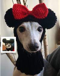 Custom Disney Mickey Minnie Mouse Dog Hat Black Red Bow Hand Etsy In 2021 Crochet Dog Clothes Dog Hat Dog Sweaters