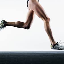 Together with the upper leg, it forms the lower extremity. Parts Of The Lower Extremity Of The Body